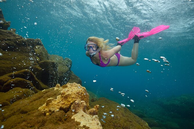 Champagne Reef, Bubble Beach and Scotts Head Snorkeling Tour by Boat in Dominica - Customer Reviews and Feedback