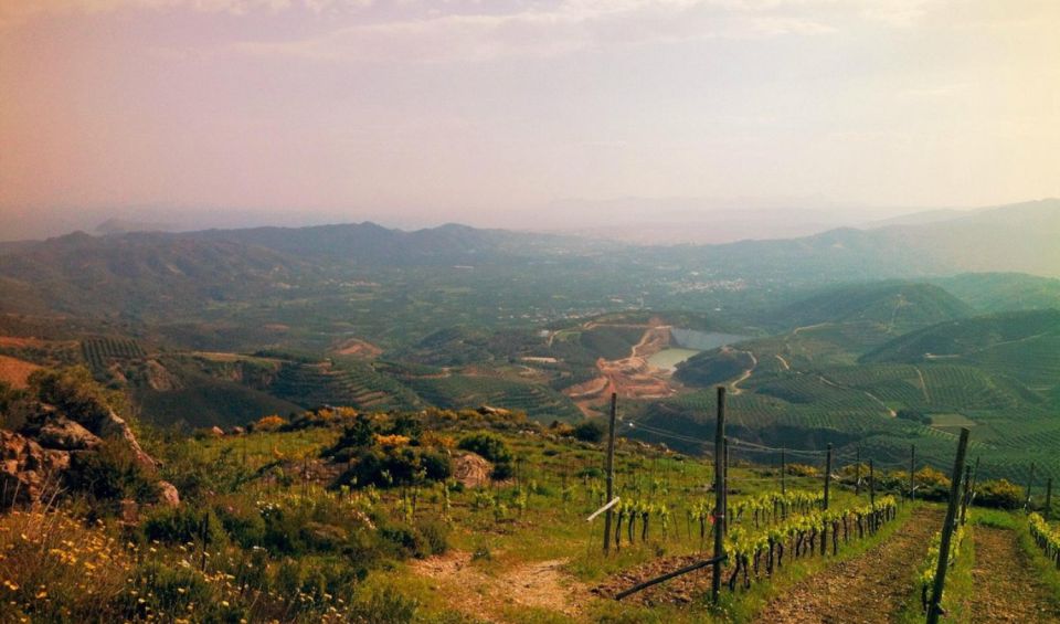 Chania Luxury Jeep Safaris: Wine & Olive Oil Tasting Secrets - Traditional Cretan Culinary Delights