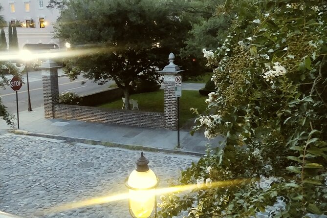 Charleston Dark History & Ghost Tour With Adam - Accessibility Features