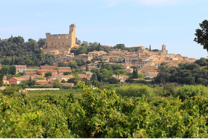 Chateauneuf Du Pape Wine Day Tasting Tour Including Lunch From Avignon - Inclusions and Meeting Points