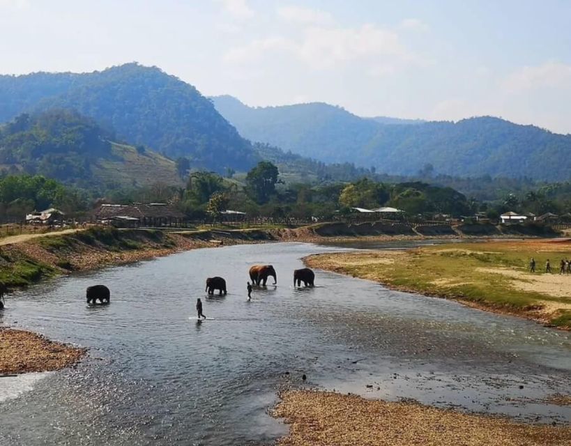 Chiang Mai White Water Rafting & ATV Adventure - Additional Information