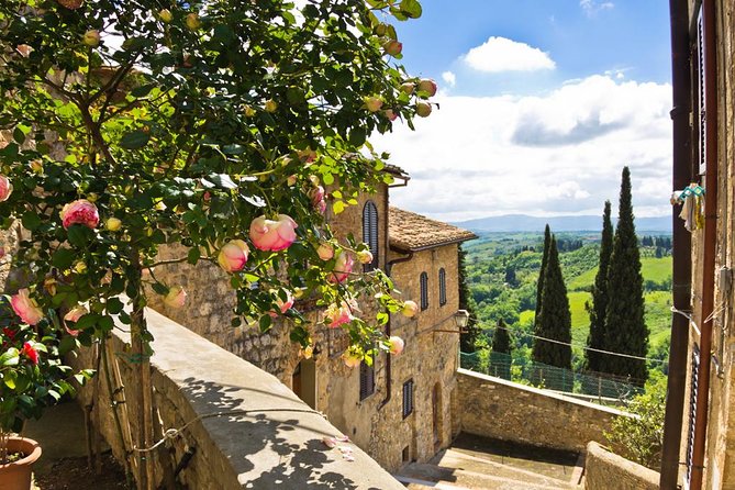 Chianti Half Day Wine Tour From Florence - Casale Dello Sparviero Winery Tour