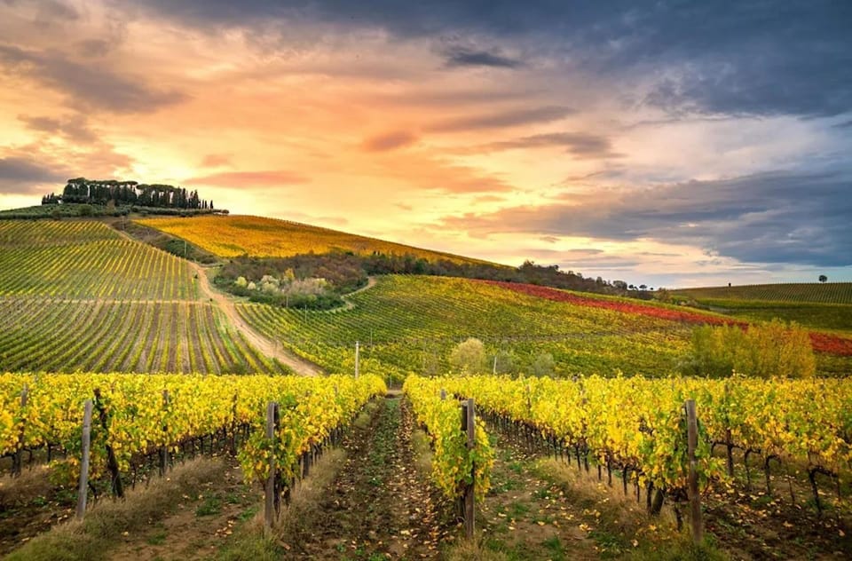 Chianti Helicopter Flight Tour - Private Group Option