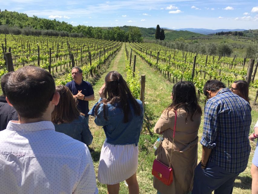 Chianti Winery Visit: Wine Journey From Vineyard to Bottle - Customer Reviews