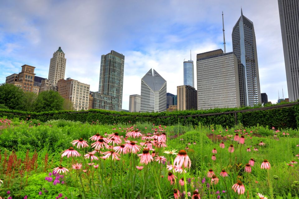 Chicago: Millennium Park Self-Guided Walking Tour - Uncovering the Secret Garden