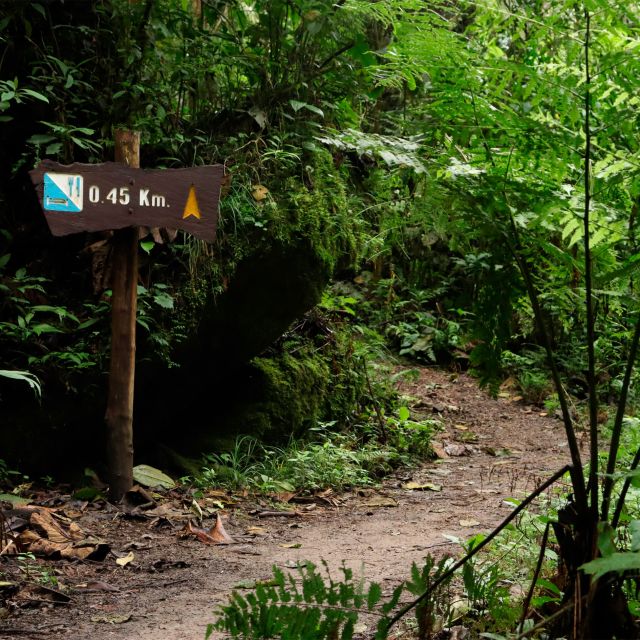 Chicaque Foggy Forest Hike - Customer Reviews