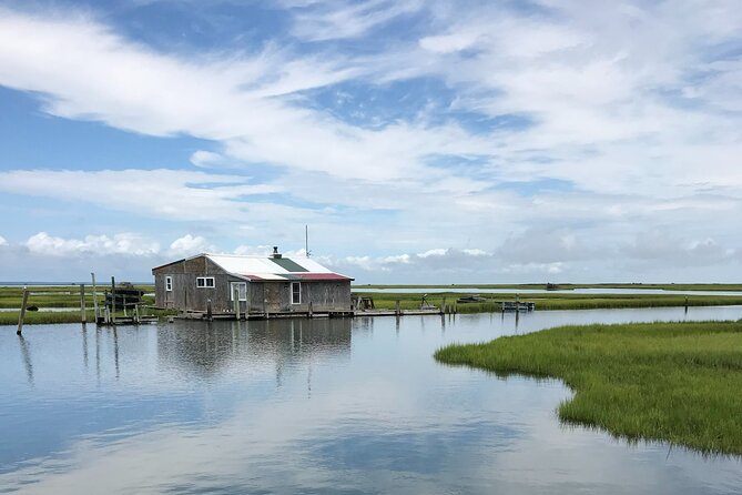 Chincoteagues Up The Bay Pony and Wildlife Tour by Boat - Customer Experiences