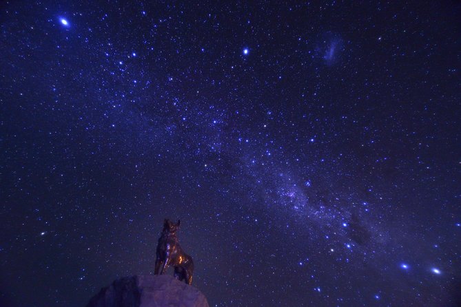 Christchurch-Lake Tekapo Special Pick-up Plan - Booking Confirmation Process