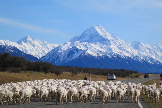Christchurch-Mount Cook Special Pick-up Plan - Accessibility Features