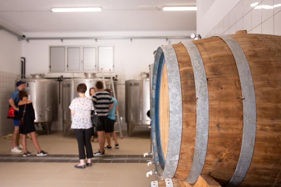 Cilentos Wine Tour: Discover the Secrets - Customer Feedback