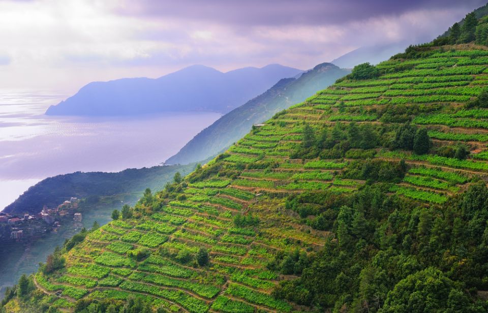 Cinque Terre Small Group by Minivan From Lucca - Explore the Cliffside Villages