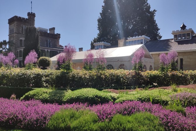 City Highlights, Larnach Castle & Peninsula Views - Transportation and Group Size