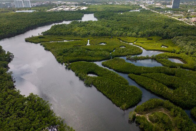 Clear Kayak Tour in North Miami Beach - Mangrove Tunnels - Booking Information