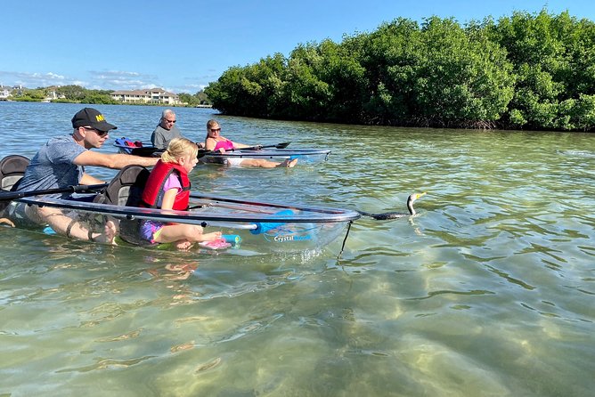 Clear Kayak Tour of Shell Key Preserve and Tampa Bay Area - Safety Measures