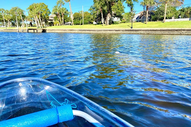 Clear Kayak Tour of Tarpon Springs | Manatee Season - Tour Inclusions