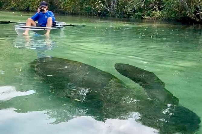 Clear Kayak Tours in Weeki Wachee - Guest Experiences and Feedback