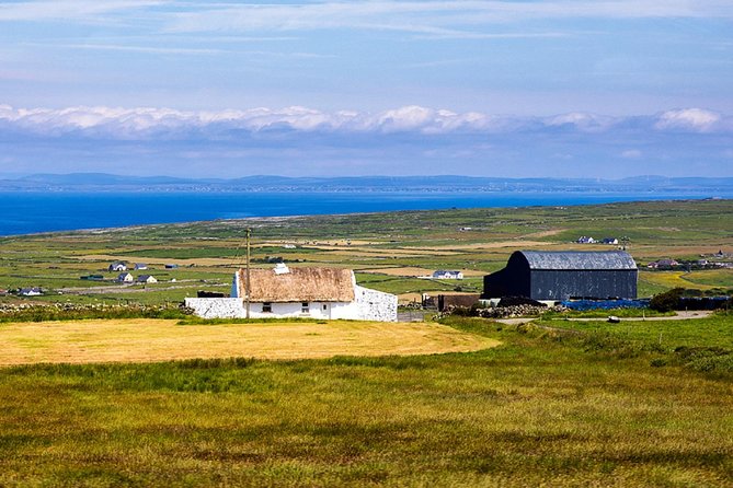 Cliffs of Moher, Boat Cruise & Aillwee Cave Day Tour From Dublin - Safety Considerations