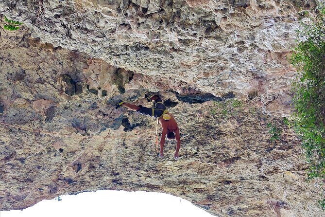 Climbing Day in Private Tour - Customer Testimonials and Feedback