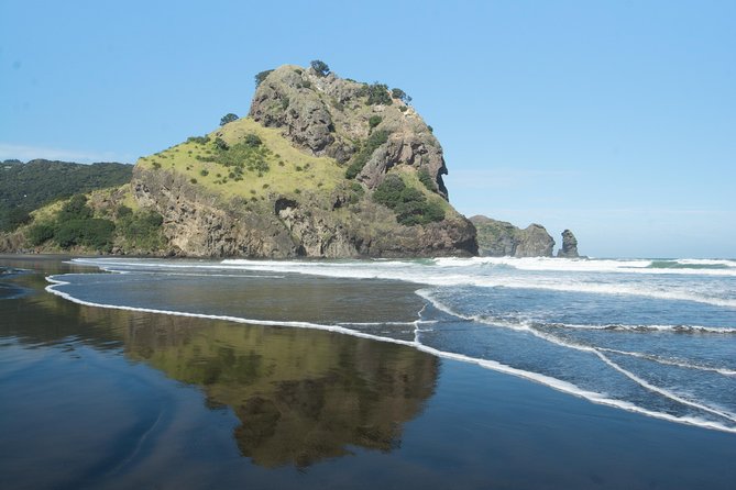 Coast and Rainforest Eco-Tour From Auckland With Lunch - What to Bring