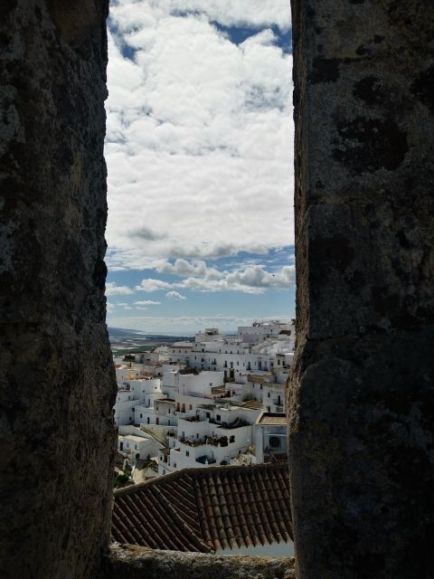 Coastal White Villages and Beaches Private Tour From Seville - Inclusions and Accessibility