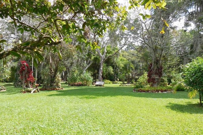 Coffee Farm Hacienda La Coloma Private Tour With Optional Lunch - Customer Testimonials