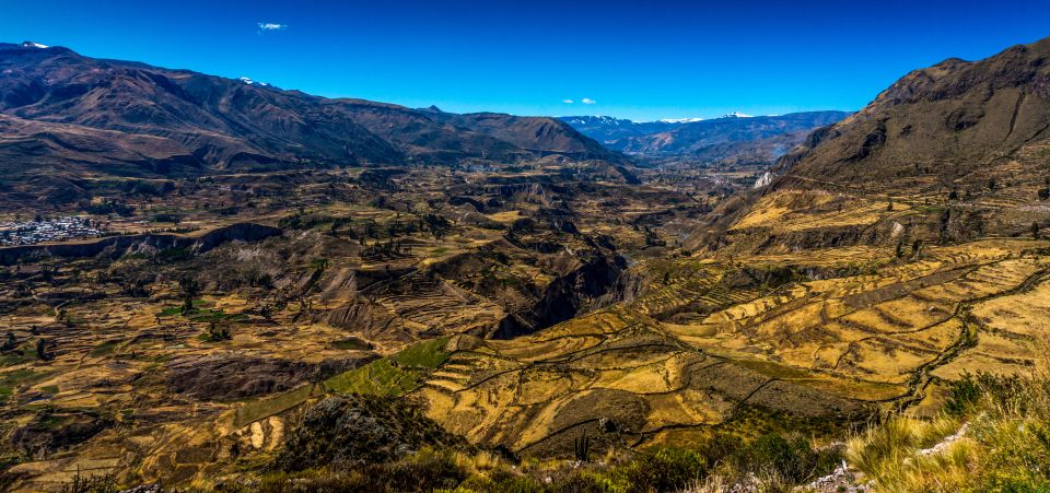 Colca Canyon: 2-Day Tour From Arequipa to Puno - Included Features