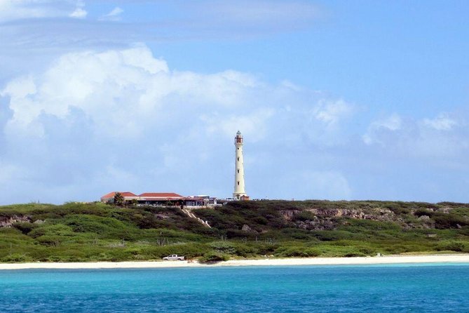 Colorful Beach Bus Sightseeing Tour of Aruba - Local Professional Guide