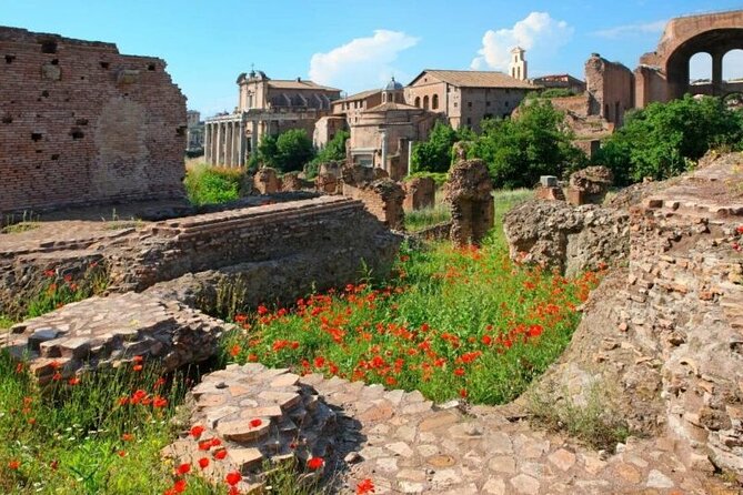 Colosseum & Ancient Rome Private: Women History Guided Tour - Expert Guide Insights