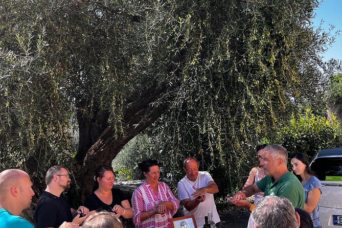 Cooking Classes and Olive Oil Tasting.The Real Taste of Greece! - Participant Feedback and Ratings