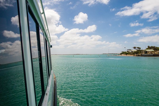 Coorong 6-Hour Adventure Cruise - Customer Experience and Satisfaction