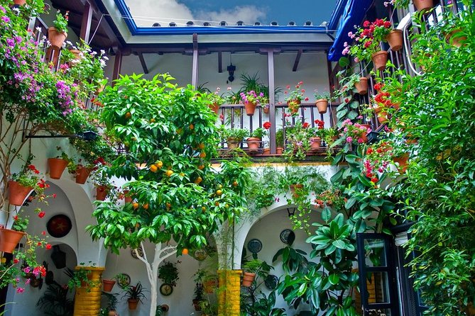 Cordoba Including Mosque and Cathedral Guided Tour From Seville - Cancellation Policy