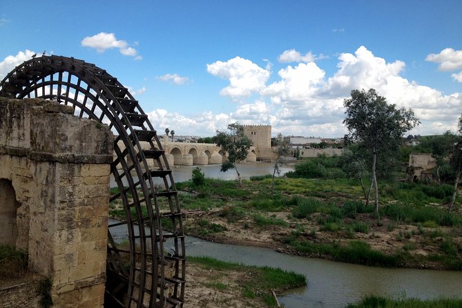 Cordoba Small-Group Day Tour From Seville - Reviews and Testimonials