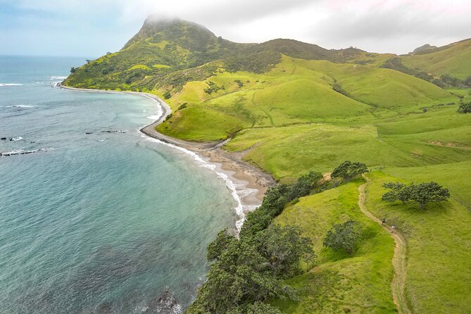 Coromandel Coastal Walkway: Full-Day Hike and Bike Tour - Scenic Highlights of the Walkway