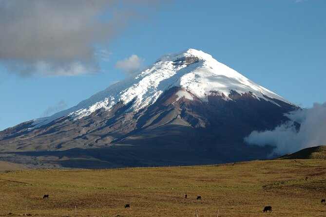 Cotopaxi Volcano Quest! - Booking Information