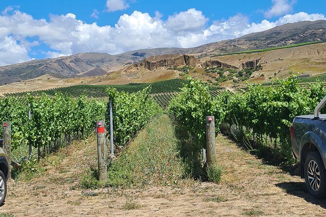 Cromwell Wine Tasting Tour Using Classic Car - Accessibility Features
