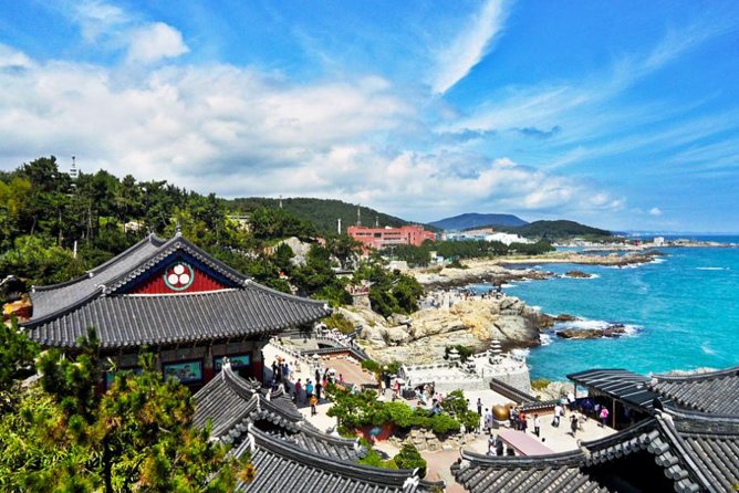 Cruise Layover : Small Group Busan Highlight Day Tour - Highlights of the Tour