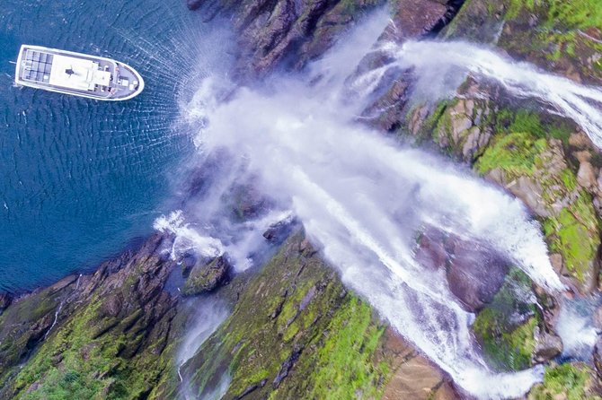 Cruise Milford NZ Small Boutique Cruise Experience - Wildlife Encounters and Scenic Views