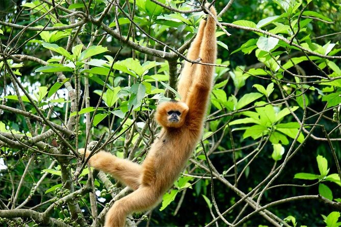 Cuc Phuong National Park Private Day Tour: Trekking & Primates - Recommended Packing List