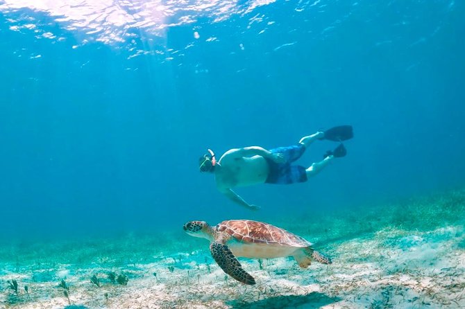 Culebra Island Snorkel and Turtle Adventure With Ferry Transport - Snacks and Refreshments