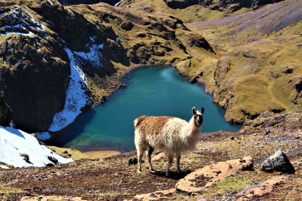 Cusco: 4-Day Lares Trek to Machu Picchu With Panoramic Train - Day 3: Campsite to Machu Picchu Pueblo