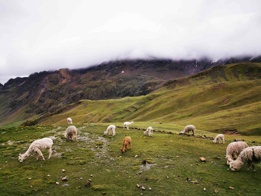 Cusco: Day Trip to Rainbow Mountain - Best Time to Visit