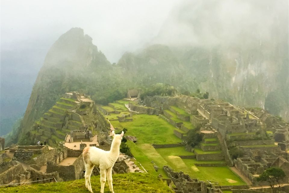 Cusco: Machu Picchu 2-Day Inca Trail Trip & Panoramic Train - Exclusions