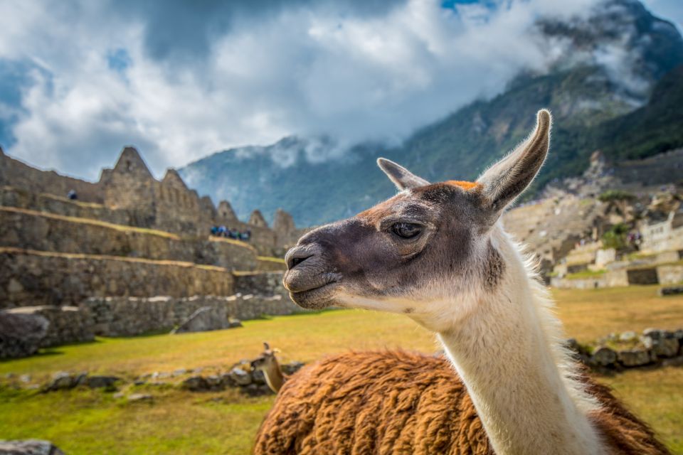 Cusco: Machu Picchu Tour With Tickets - Machu Picchu Entrance