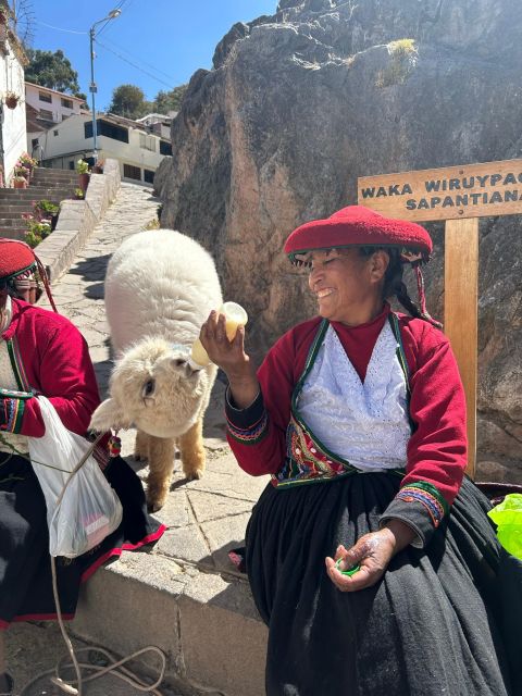 Cuscos Street and San Pedro Market Walking Adventure - Customer Feedback