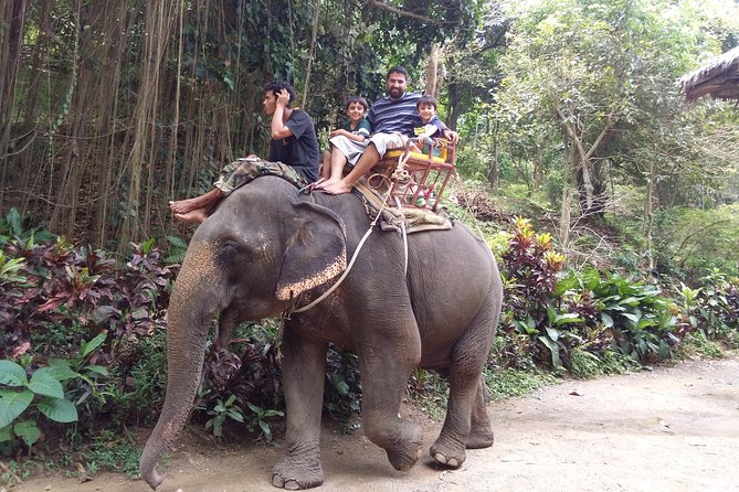 Customized Phuket Tours With Private Driver - Accessibility Considerations