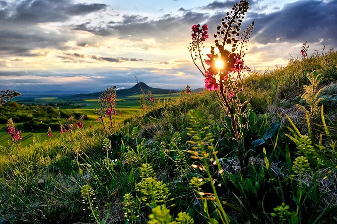 Czech Countryside Villages Tour From Prague With Animal Farm - Transportation and Pickup Details