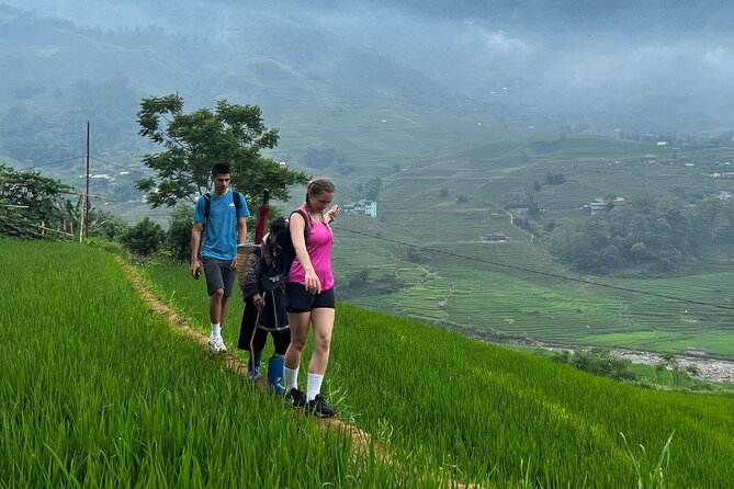 Daily Tour: Sapa Trekking in Muong Hoa Valley, Bamboo Forest - Reviews and Feedback