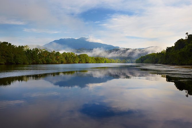 Daintree River Dawn Cruise With the Daintree Boatman - Wildlife Encounters