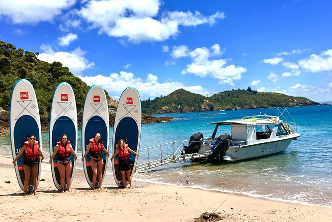 Day Cruise & Island Tour - Snorkel/Wildlife/Paddleboard/Islands - What to Bring Along