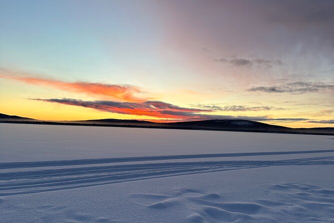 Day Tour With Snowmobile in Kiruna - Reviews and Customer Feedback